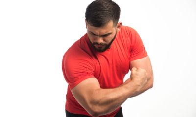 7 Key Factors To Consider When Researching Trenbolone in the UK Market