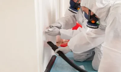 asbestos-Survey