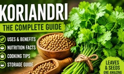 Koriandri