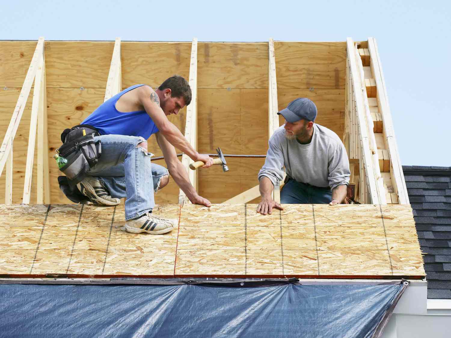 Your Roof
