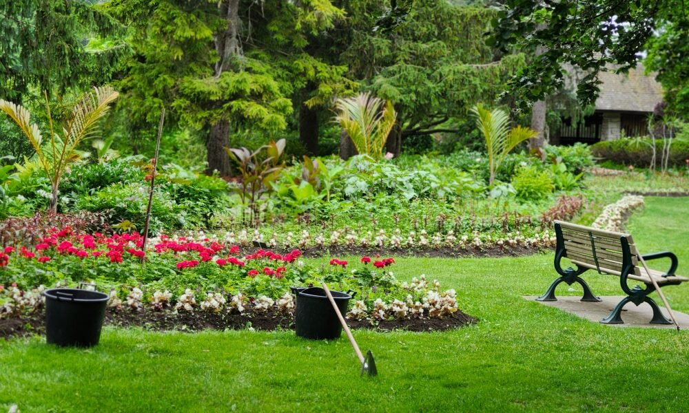 Garden
